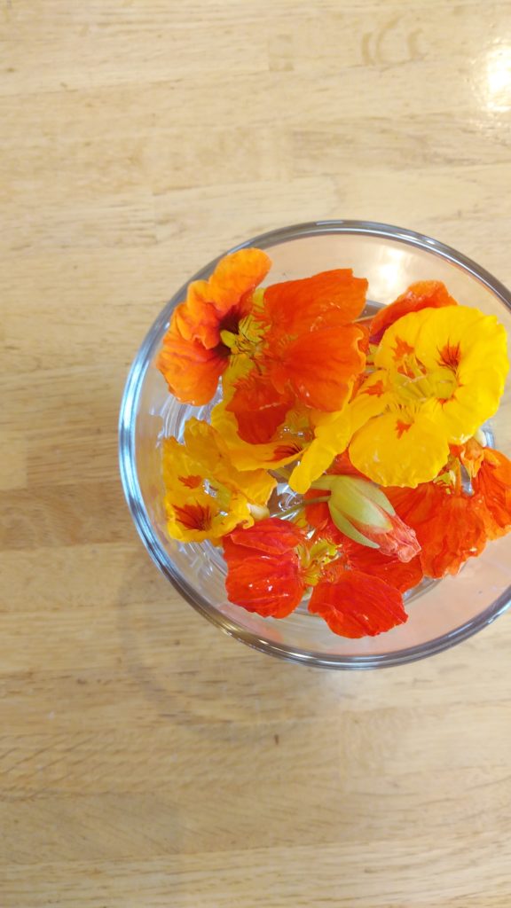 ゴールデンウィーク定休日のご案内