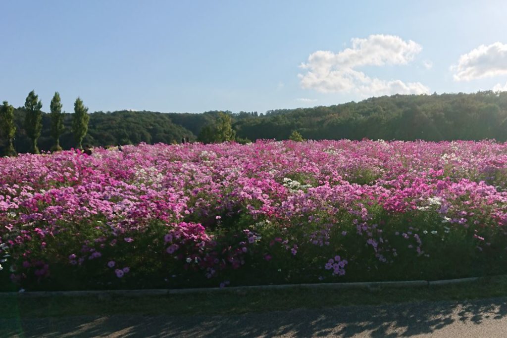 越後丘陵公園