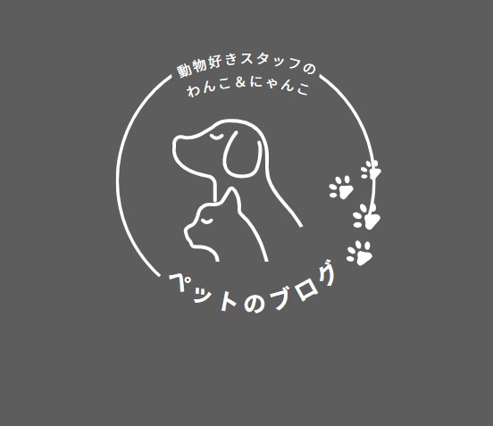 わんこ大好き　髙橋のご紹介